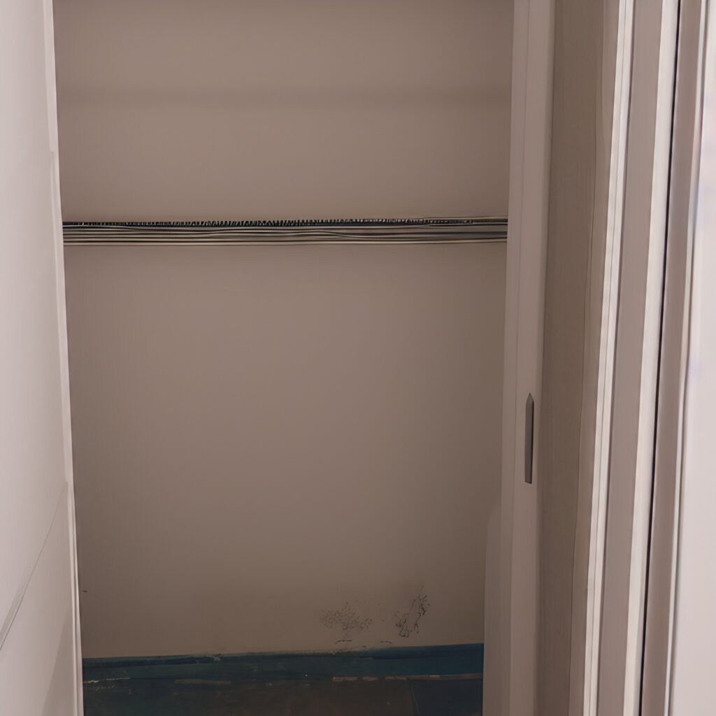 mold in your closet