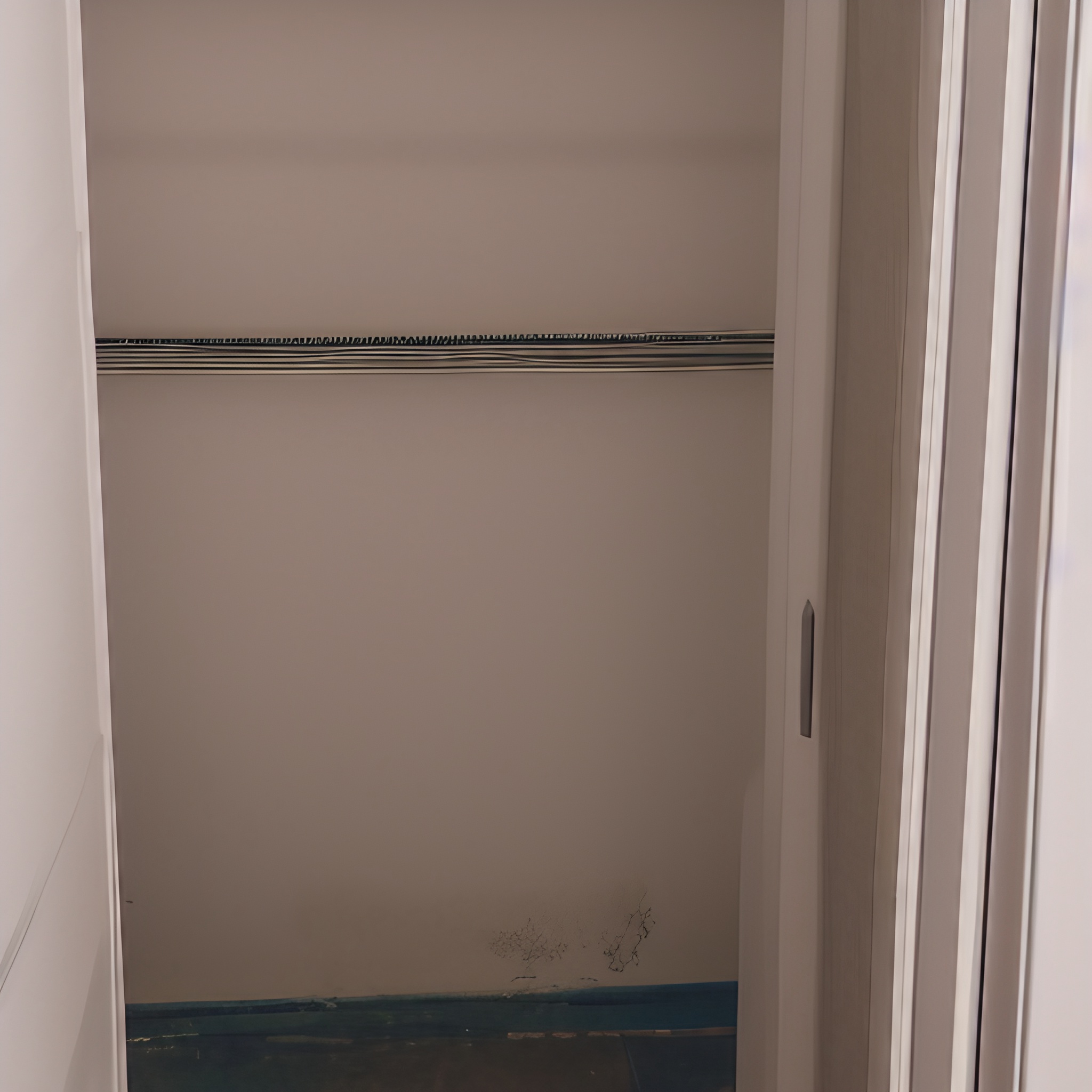 mold in your closet